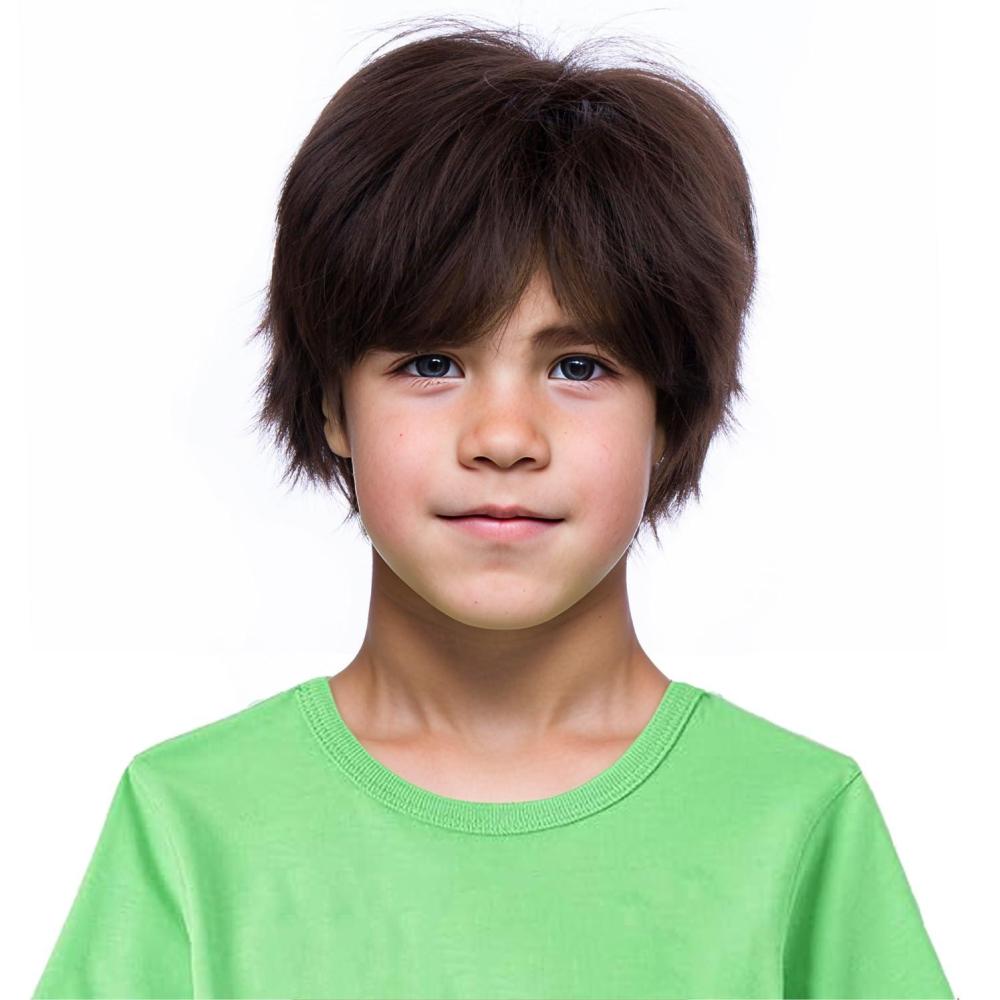 imageBlonde Mens Wigs Short Straight Layer Wigs for Men Male Blonde Short Wig Natural Synthetic Hair Wig Cosplay Party Costume WigBrown