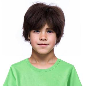 Blonde Mens Wigs Short Straight Layer Wigs for Men Male Blonde Short Wig Natural Synthetic Hair Wig Cosplay Party Costume Wig(Brown)