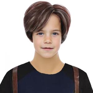 Blonde Mens Wigs Short Straight Layer Wigs for Men Male Blonde Short Wig Natural Synthetic Hair Wig Cosplay Party Costume Wig(Brown Blonde)