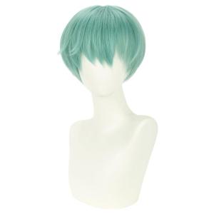 Blonde Mens Wigs Short Straight Layer Wigs for Men Male Blonde Short Wig Natural Synthetic Hair Wig Cosplay Party Costume Wig(Green)