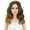 Brown Ombre
